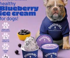 Find Dog Ice Cream Near Me That Your Pup Will Love – Only at Frostreats