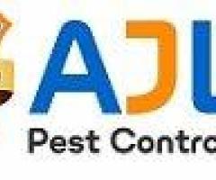 Pest Control Services in Kondapur