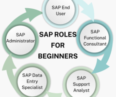 SAP Roles for Beginners - Ed11
