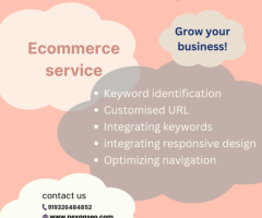 Custom Ecommerce SEO Services in Dubai for Your Business