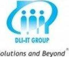 DLI-IT Group