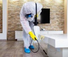 Best Pest Control Services in Hyderabad
