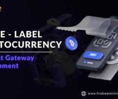 White Label Crypto Payment Gateway Development In USA