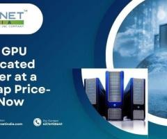 Best GPU Dedicated Server at a Cheap Price- Buy Now