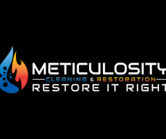 Meticulocity Cleaning