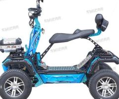 Electric 10kw Land Surfing Vehicle 4WD Sport ATV All Terrain Vehicles Off-Road Buggy Karting