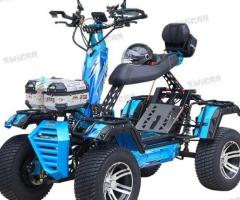 Electric 10kw Land Surfing Vehicle 4WD Sport ATV All Terrain Vehicles Off-Road Buggy Karting