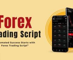 Forex Trading Script In USA