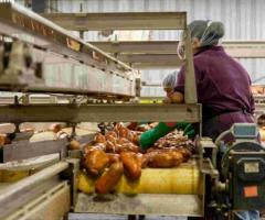 Startup in Food Industry need an FSSAI license