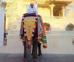 panwarlawazma