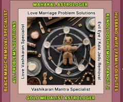 Best Astrologer, Love Marriage Problems