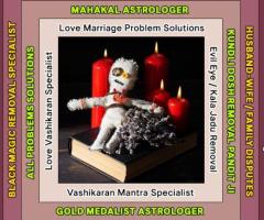 Best Astrologer, Love Marriage Problems