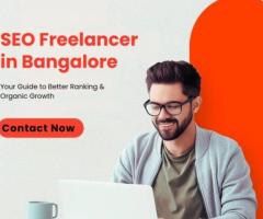 SEO Freelancer in Bangalore Professional SEO Services | seofreelancerbangalore.in