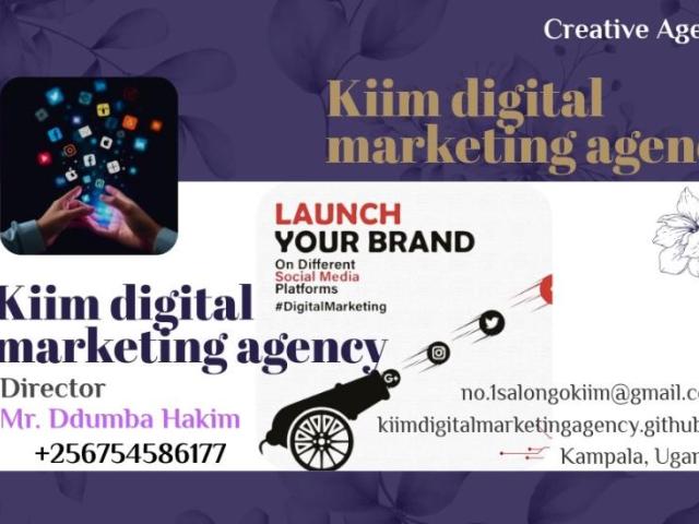 Kiim digital marketing, SEO and website designing agency - 1/1