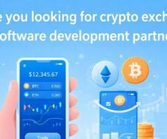 Custom Cryptocurrency Exchange Development for Global Markets