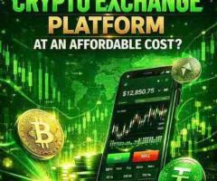 Custom Exchange Development for Businesses Worldwide