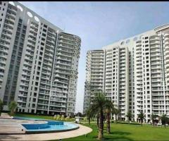 Hamlin Apartment Gurgaon Available for Sale / Rent