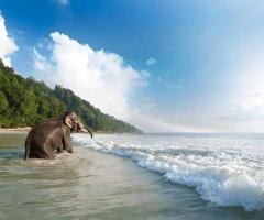 Top Andaman and Nicobar Package Deals