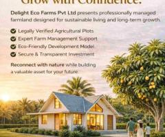 Managed Farmland Near Bangalore – Sustainable Investment with Delightecofarm