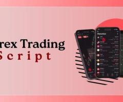 Top Forex Trading Script in USA
