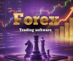 Stop Trading—Own a Forex Platform Traders Can’t Ignore