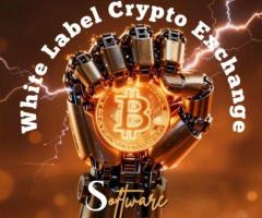 The Secret Strategy Behind High Growth Crypto Exchange Startups