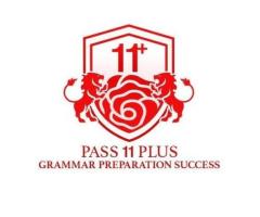 Pass 11 Plus Grammar Preparation Success