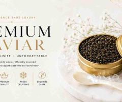 Black Caviar Price – Best Online Offers