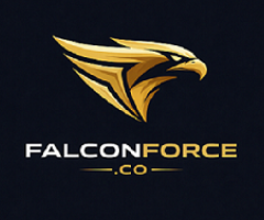 GMB  SEO Service In Ludhiana - Falcon Force