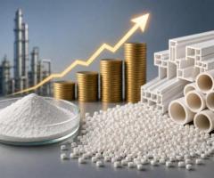 How to Choose the Best One-Pack Stabilizer for Your Business