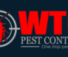 Ant treatment pest control
