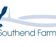 Biodiverse Farm in West Sussex