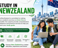 Study in New Zealand for Indian Students | Go New Zealand