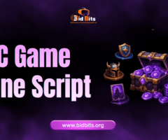 Launch BC Game Clone Script With Multi Currency Wallet System