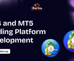 Multi Asset Trading Support in MT4 and MT5 Platform Development